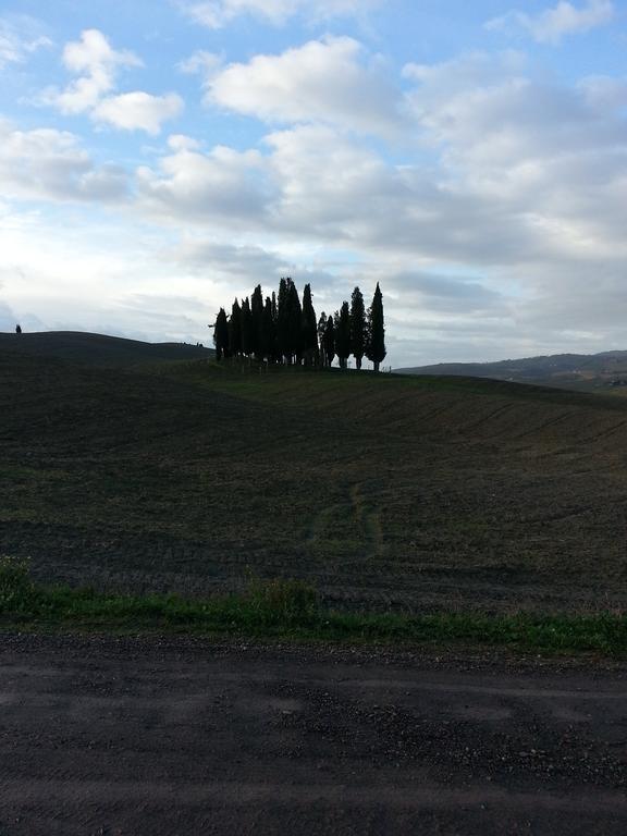 Passaggio In Val D' Orcia Lejlighed Torrenieri Eksteriør billede