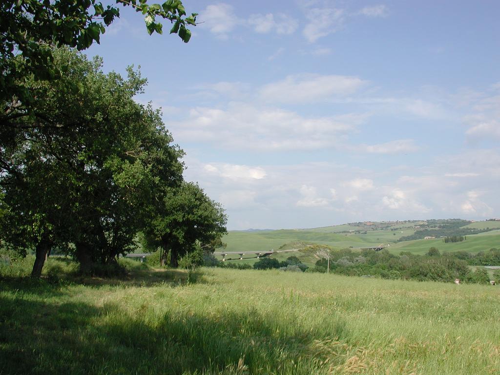 Passaggio In Val D' Orcia Lejlighed Torrenieri Eksteriør billede